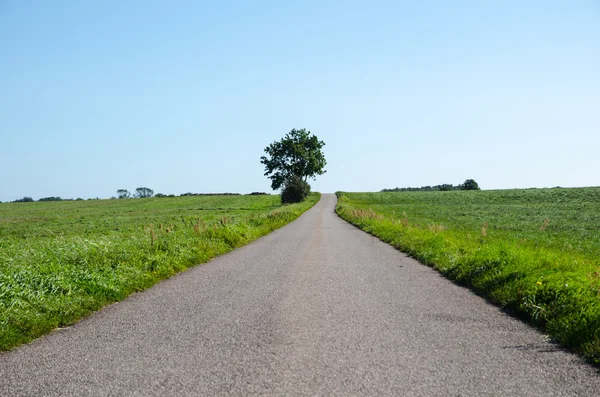 Camino de campo a través de campos verdes — Foto de Stock