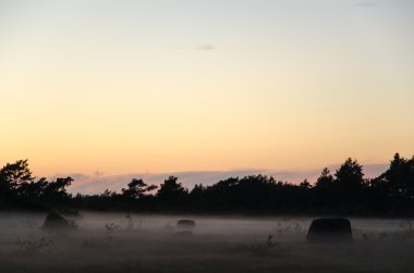 Puslu yaz akşam taşlara