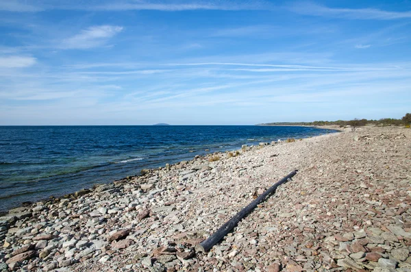 Kamieniste wybrzeże z driftwood — Zdjęcie stockowe