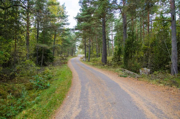 Landsväg på hösten — Stockfoto