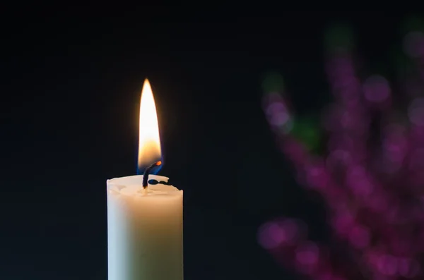 One burning candle at blurred heather — Stock Photo, Image