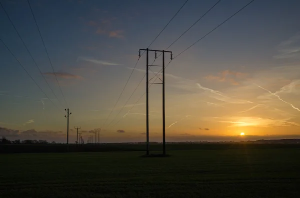 Lignes électriques rangées au coucher du soleil — Photo