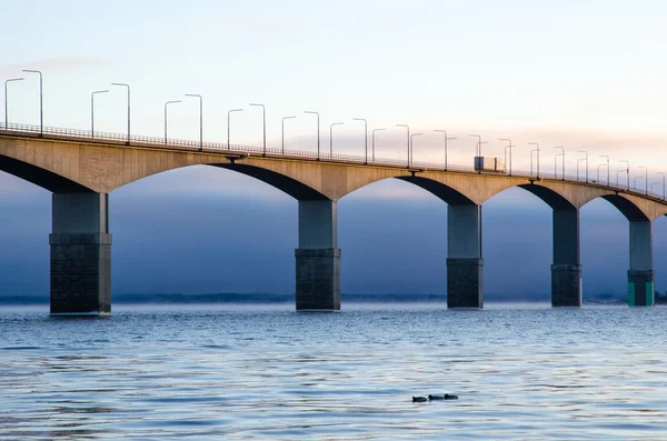 Dawn by the bridge — Stock Photo, Image