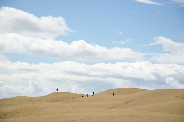 Tourists silhouettes in the desert — Stock Photo, Image