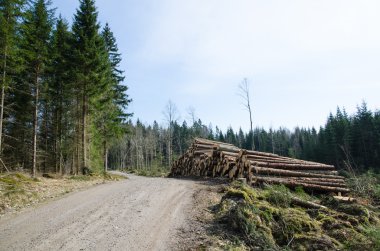 Yol kenarında, ahşap