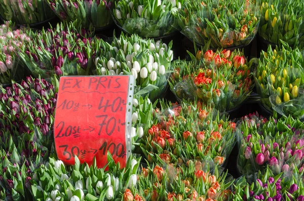 Tulipany z cena etykieta — Zdjęcie stockowe