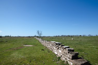 taş duvar ile düz otlak