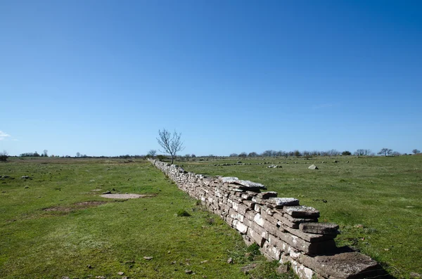 Ebenes Grasland mit Steinmauer — Stockfoto