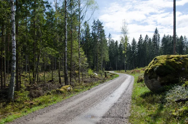 Pedra musgosa em uma estrada de terra sinuosa — Fotografia de Stock