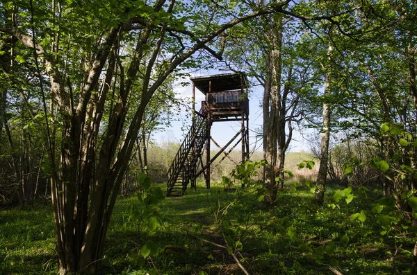 Hidden bird watching tower — Stok fotoğraf