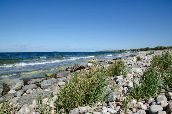 Stony zatoka zielony stroiki — Zdjęcie stockowe