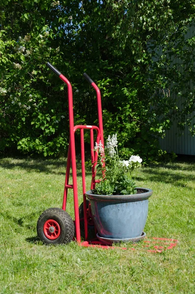 Carrello con un grande vaso da fiori — Foto Stock