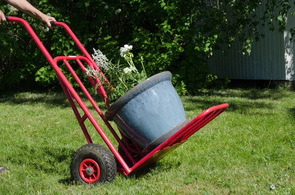 Flowerpot on a cart — Stock Photo, Image