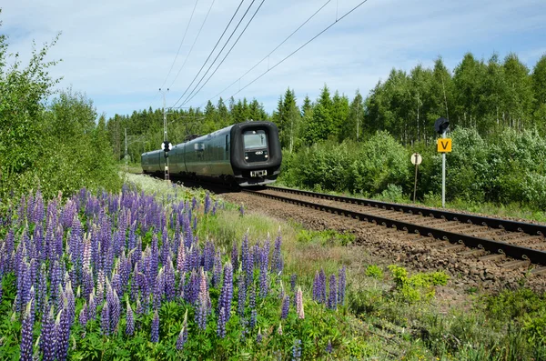 İsveçli tren yaz peyzaj
