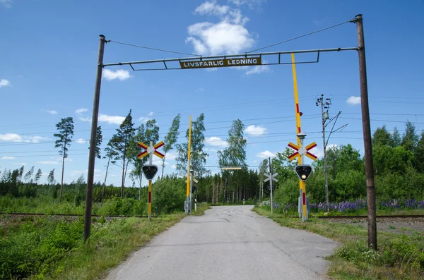 Attraversamento ferroviario di campagna — Foto Stock