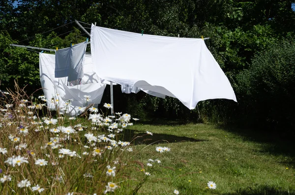 Drying white sheets Stock Picture