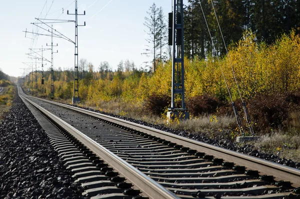 Railroad tracks close-up — Stockfoto