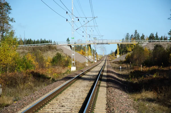 Road viaduct bij spoorlijn — Stockfoto