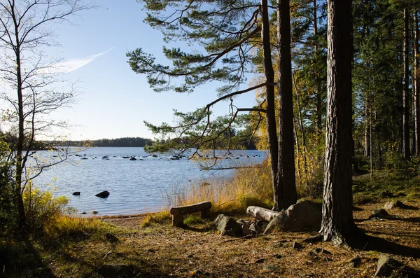 Спокойный вид на голубое озеро со скамейкой к осени — стоковое фото
