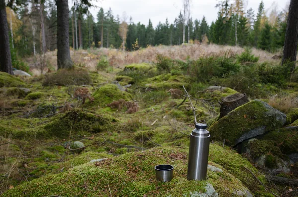 Steel thermos on a rock in forest — Stock Photo, Image