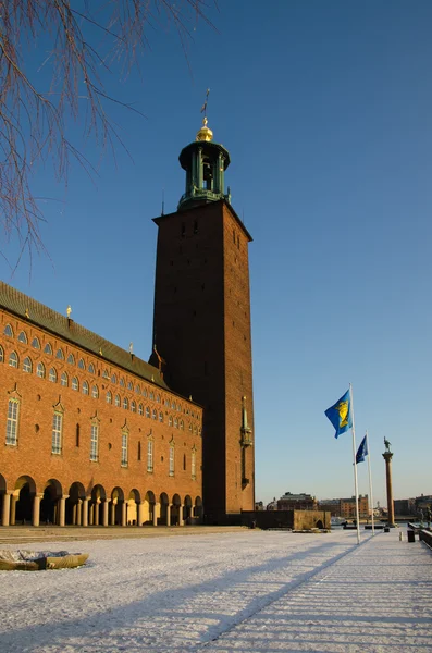 Vista invernale al Municipio di Stoccolma — Foto Stock