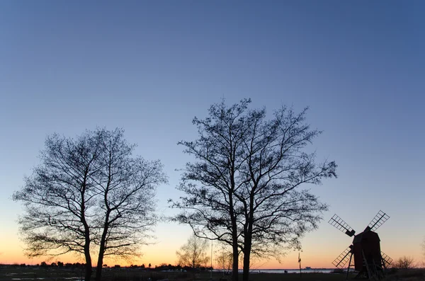 Vista crepuscular con árboles y un molino de viento —  Fotos de Stock