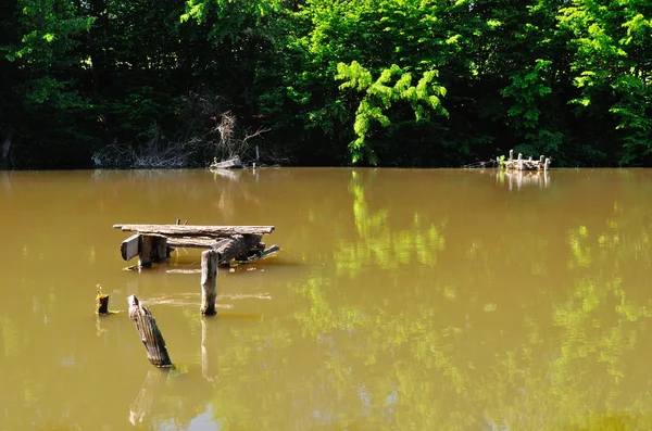 Harika yaz gölet çamurlu suyu ve yeşil ağaçları ile