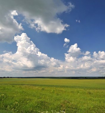 yeşil alan panorama