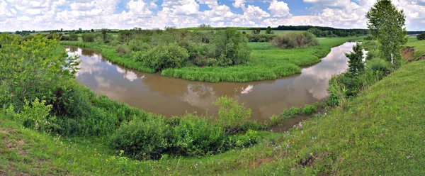 Landskap med flod och träd i sommar — Stockfoto