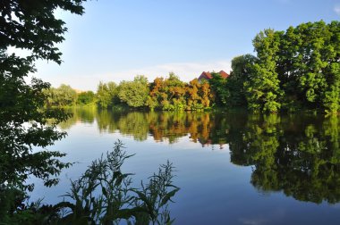 Yansıtılmış ağaçlar su