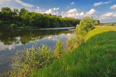 Nehir ve ağaçlar ile yaz aylarında manzara