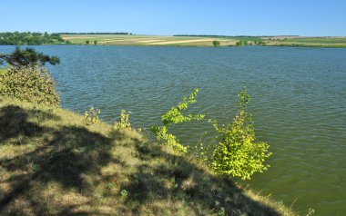 ağacın yanında nehir