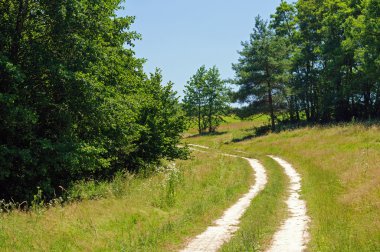 toprak yol ağaçların arasındaki