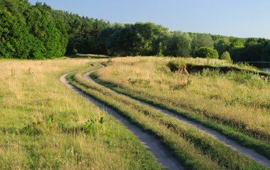 toprak yol ağaçların arasındaki