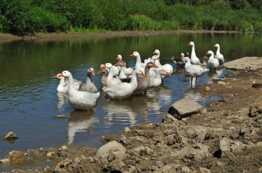 kazlar Nehri üzerinde