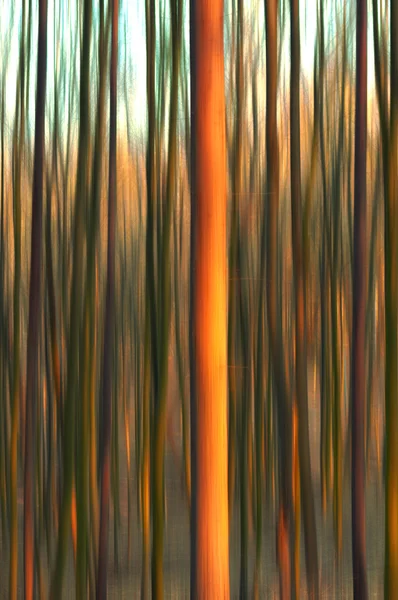 Abstraktní ilustrace stromů — Stock fotografie