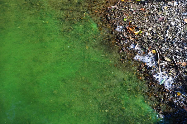 녹색 더러운 물 — 스톡 사진