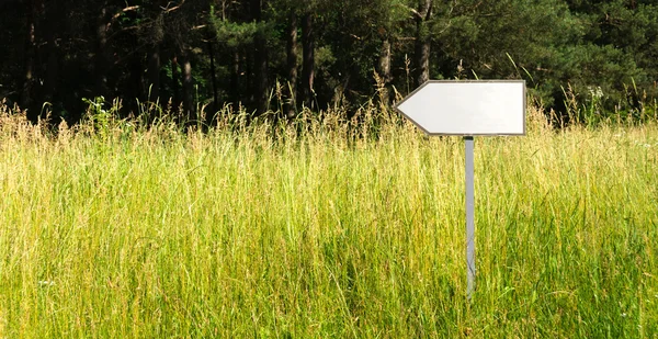 Empty pointer on grass — Stock Photo, Image