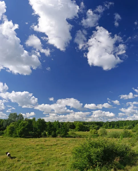 Panoramic landscape of green field and clouds — Stock Photo, Image