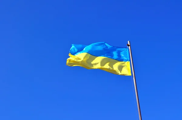 乌克兰国旗 — 图库照片