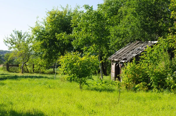 Yemyeşil yeşil çim ve ağaçları ile çevrili terk edilmiş evde — Stok fotoğraf