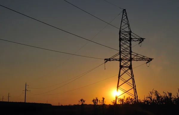 Líneas de transmisión al atardecer — Foto de Stock