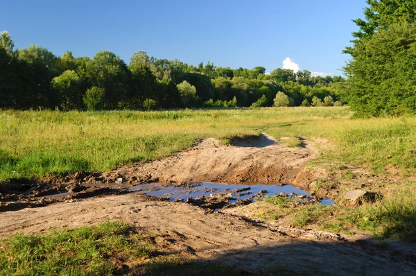 Charco en la carretera cerca de los árboles — Foto de Stock