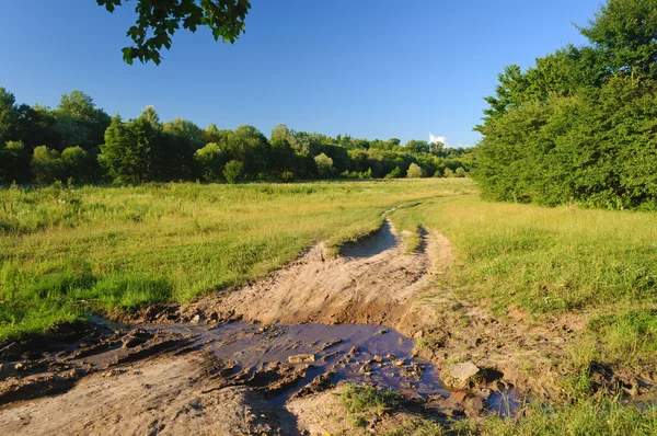 Charco en la carretera cerca de los árboles — Foto de Stock