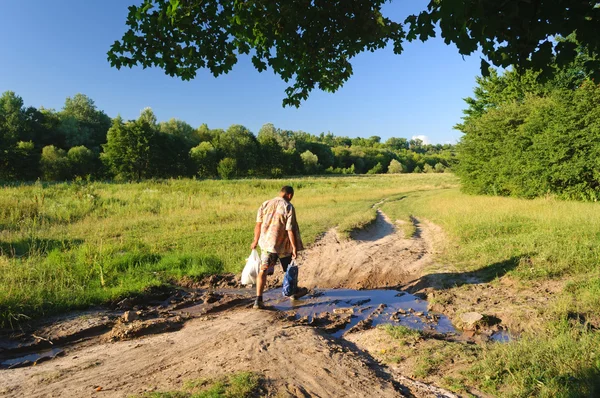 ağaçlar yakınındaki yolda birikintisi