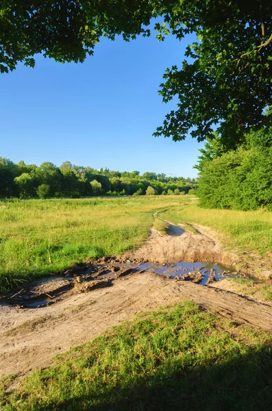 Pfütze auf der Straße neben Bäumen — Stockfoto