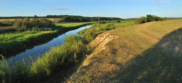 Landskap med flod och träd i sommar — Stockfoto