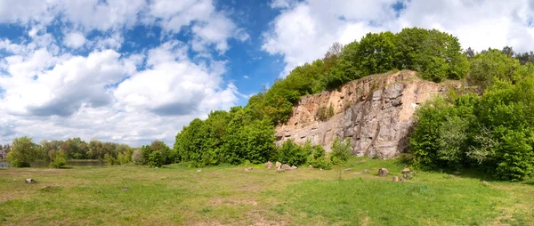 Panoramic view of the rock with trees — Stock Photo, Image