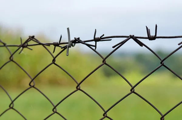 Barbed wire close up — Stock Photo, Image