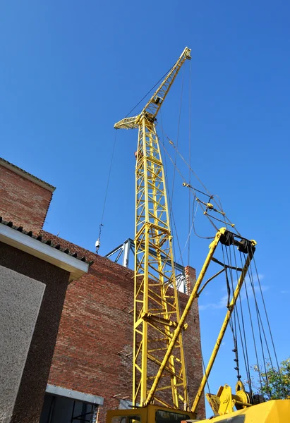 Crane — Stock Photo, Image